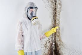 Best Environmental Consulting for Mold Prevention in Trenton, GA